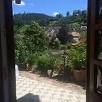 Urlaub Mit Blick Auf Schiltachs Fachwerkhaeuser