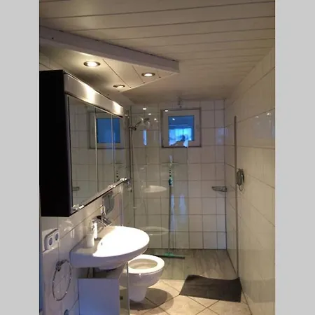 شقة Urlaub Mit Blick Auf Schiltachs Fachwerkhaeuser