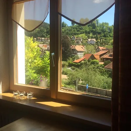 Urlaub Mit Blick Auf Schiltachs Fachwerkhaeuser شيلتاخ