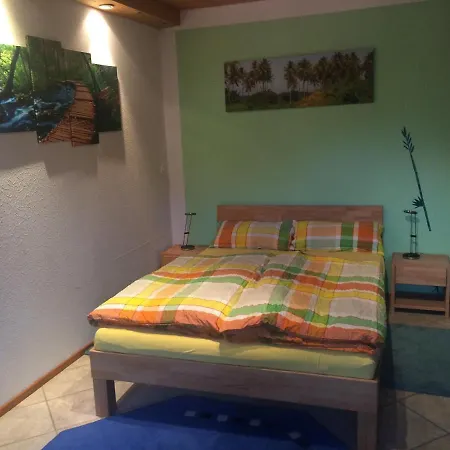 Apartment Urlaub Mit Blick Auf Schiltachs Fachwerkhaeuser